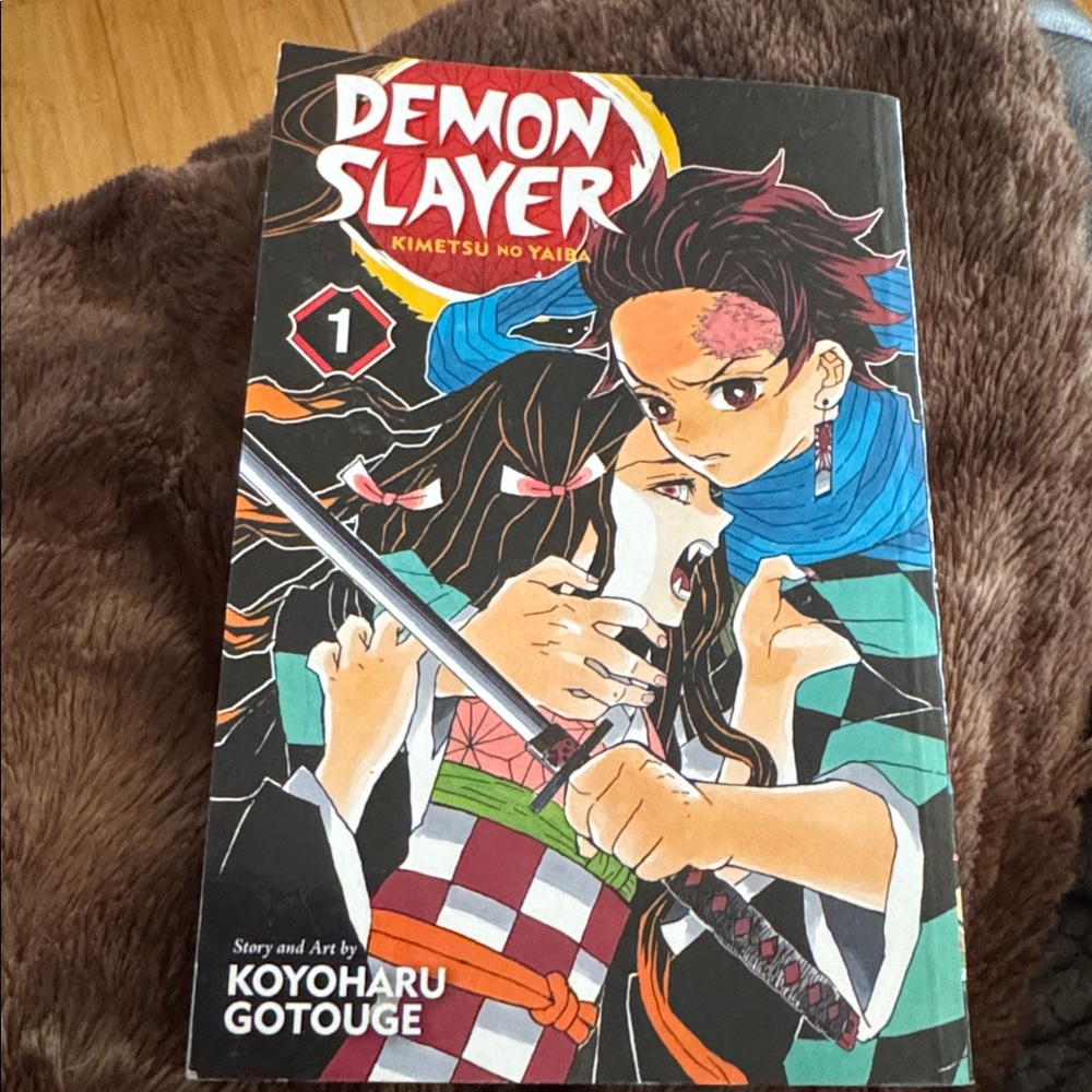 Demon Slayer Manga Volume 1